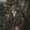 Photo of Qype User (Alh…)