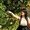 Photo of Vikki M.