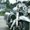 Photo of Your N.