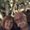 Photo of Cheryl And Ken D.