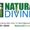 Photo of Natural Divine L.