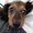 Photo of Zoey K.