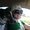 Photo of Jeanna A.