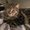 Photo of Kathi M.