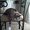 Photo of Pintip H.