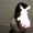 Photo of Debs L.