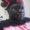 Photo of Demone S.