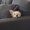 Photo of Denice S.
