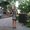 Photo of Laura C.