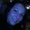 Photo of Cortney M.