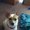 Photo of Max B.