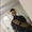 Photo of Kristopher F.