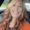 Photo of Kellie S.
