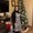 Photo of Annmarie V.
