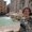 Photo of Therese M.