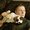 Photo of Shaun R.