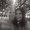 Photo of Rachel R.