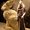 Photo of Qype User (Rosefo…)