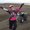 Photo of Karen K.
