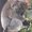 Photo of Kathy Dibert M.