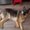 Photo of Tee M.