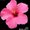 Photo of Kari_the_great_foodi G.