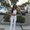 Photo of Yuliya A.