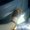 Photo of Amelfa A.