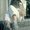 Photo of Desiree D.