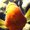 Photo of Qype User (herrkl…)
