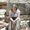 Photo of Lisa H.