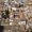 Photo of Eatwith G.