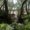 Photo of S S.
