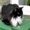 Photo of Darla C.