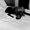 Photo of Cat R.