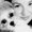 Photo of Angelia K.