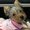 Photo of Cindy P.