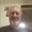 Photo of Jim N.