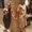 Photo of Ryann S.