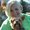 Photo of Dawn R.