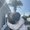 Photo of Daisy T.