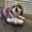 Photo of Roro D.
