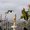 Photo of Ree C.