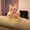 Photo of Hollie M.