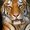 Photo of Qype User (Philca…)