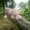 Photo of Nirea S.