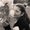 Photo of Kaylee P.
