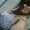 Photo of Crystal S.