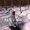 Photo of Vid V.