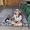 Photo of Allie H.